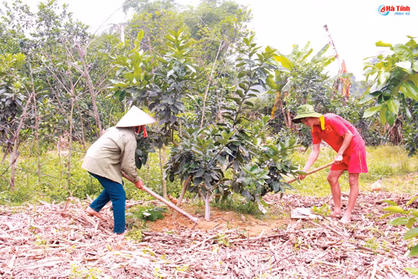 duong truong son vui biet 