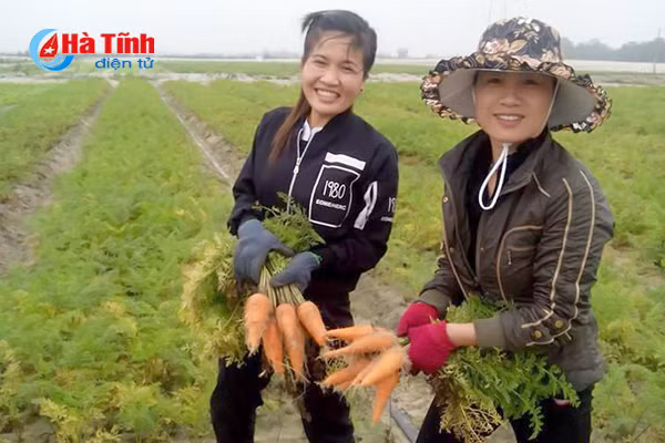 dat cat hoang o ha tinh sinh loi