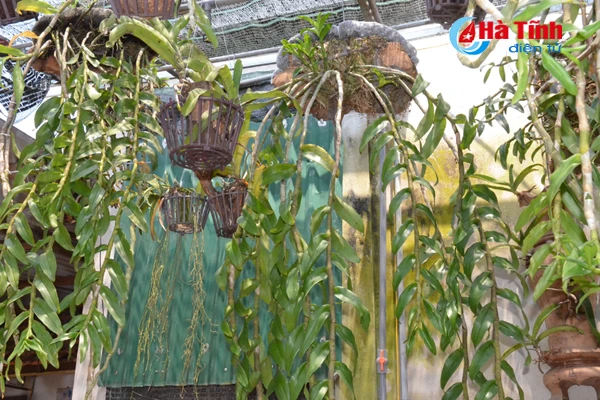 ban tay thay giao ti man danh thuc nhung mam lan