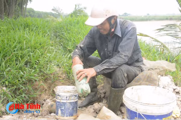 xem nong dan cam xuyen bay cay doc dao bang chai nhua