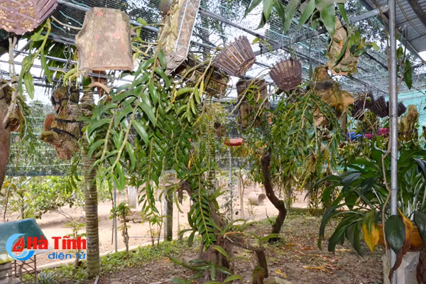 ban tay thay giao ti man danh thuc nhung mam lan