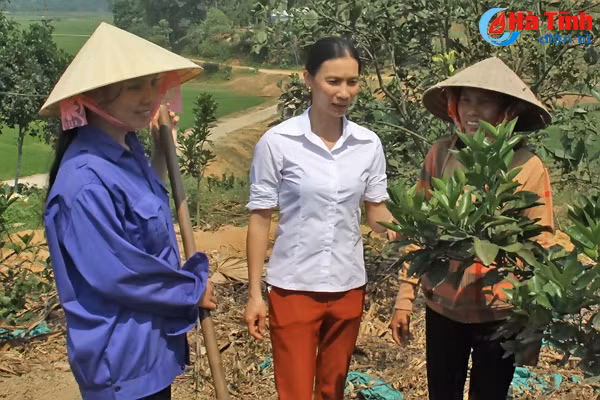 ve huong son xem phu nu lam giau tu vuon trai