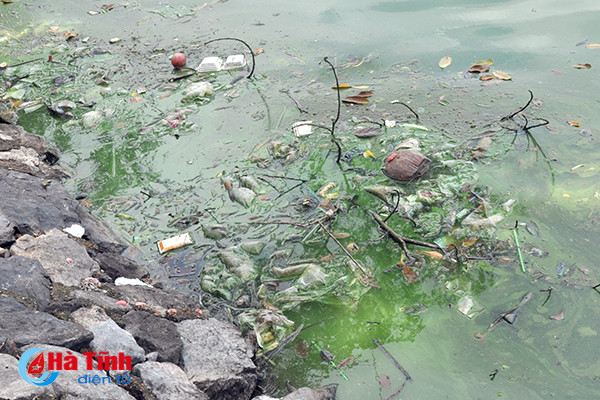 Video: Kinh hãi cảnh ô nhiễm hồ điều hòa đẹp nhất phố núi Hà Tĩnh