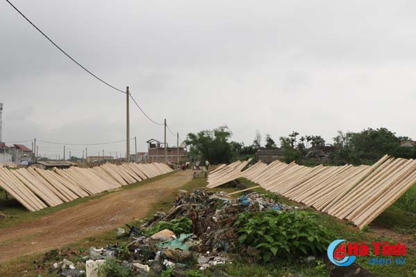 kinh hoang canh banh nem phoi canh bai rac