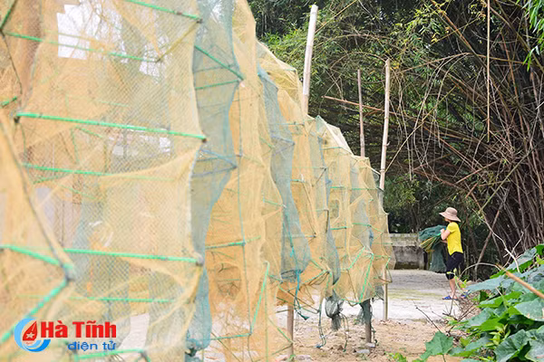 lang chai nho voi nghe dat lu bat tom