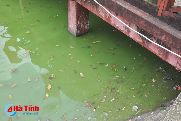 Video: Kinh hãi cảnh ô nhiễm hồ điều hòa đẹp nhất phố núi Hà Tĩnh