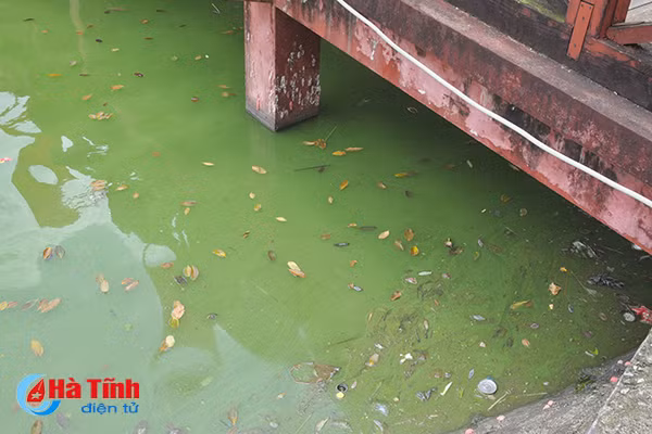 Video: Kinh hãi cảnh ô nhiễm hồ điều hòa đẹp nhất phố núi Hà Tĩnh