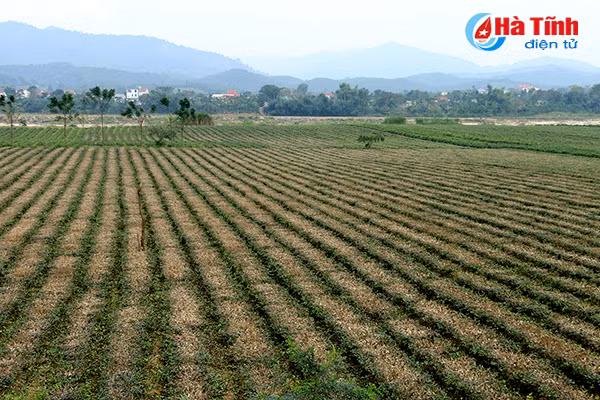 dam say nhung khu dan cu ntm kieu mau mien nui ha tinh