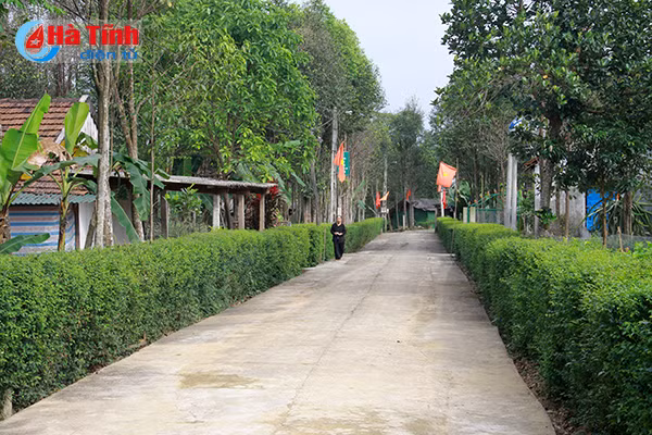 dam say nhung khu dan cu ntm kieu mau mien nui ha tinh