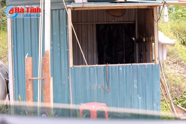 Dự án chăn nuôi bò Bình Hà: “Vắng như chùa bà Đanh”!