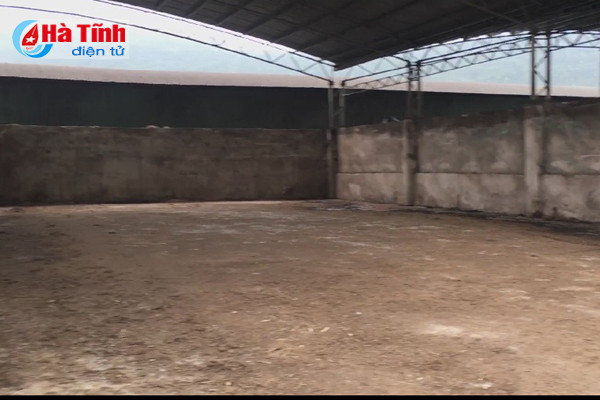 Dự án chăn nuôi bò Bình Hà: "Vắng như chùa bà Đanh"! ảnh 4 Dự án chăn nuôi bò Bình Hà: “Vắng như chùa bà Đanh”!