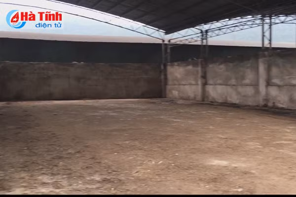 Dự án chăn nuôi bò Bình Hà: “Vắng như chùa bà Đanh”!