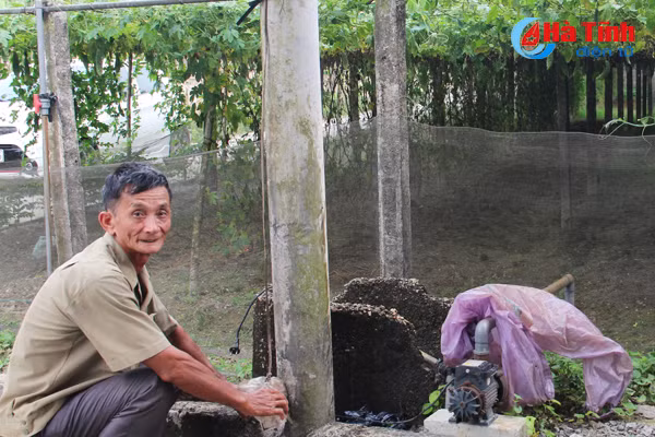 nhung vuon muop dang hai bac cua nong dan cam xuyen