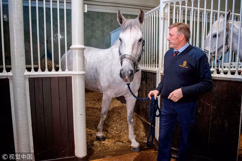 chiem nguong nhung co xe dung trong dam cuoi hoang tu harry va vi hon the meghan markle