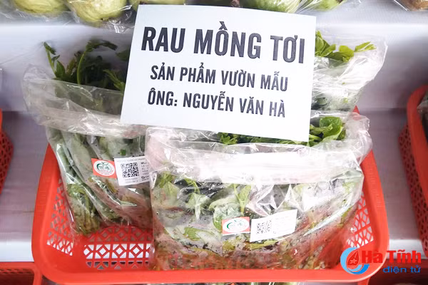 giay khai sinh cho nong san thach ha