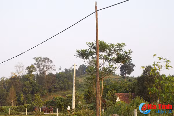 duong day dien co mot khong hai o son tho