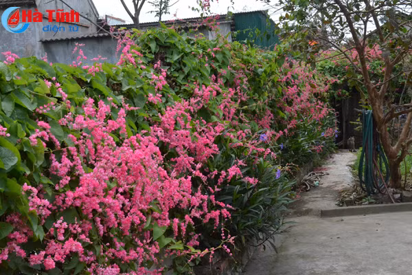 vung chung tich chien tranh tro thanh khu dan cu kieu mau