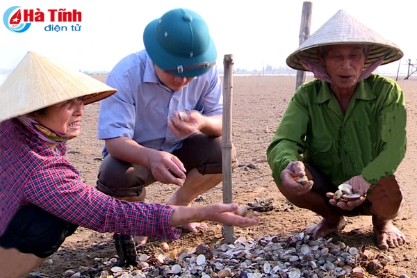 nuoi so tung bai gom giong tung kilogam