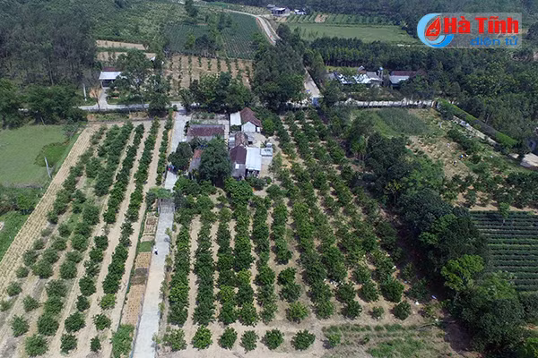 dam say nhung khu dan cu ntm kieu mau mien nui ha tinh