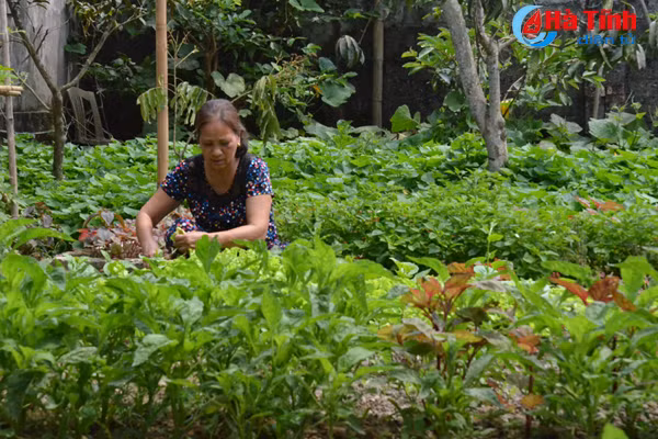 vung chung tich chien tranh tro thanh khu dan cu kieu mau