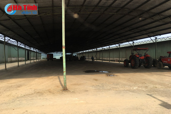 Dự án chăn nuôi bò Bình Hà: "Vắng như chùa bà Đanh"! ảnh 5 Dự án chăn nuôi bò Bình Hà: “Vắng như chùa bà Đanh”!