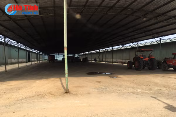 Dự án chăn nuôi bò Bình Hà: “Vắng như chùa bà Đanh”!