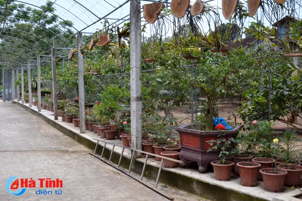 ban tay thay giao ti man danh thuc nhung mam lan