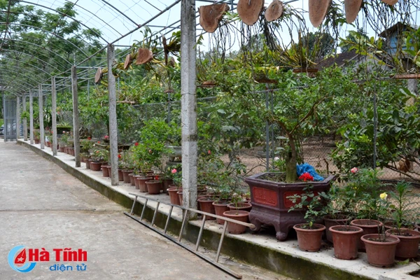 ban tay thay giao ti man danh thuc nhung mam lan