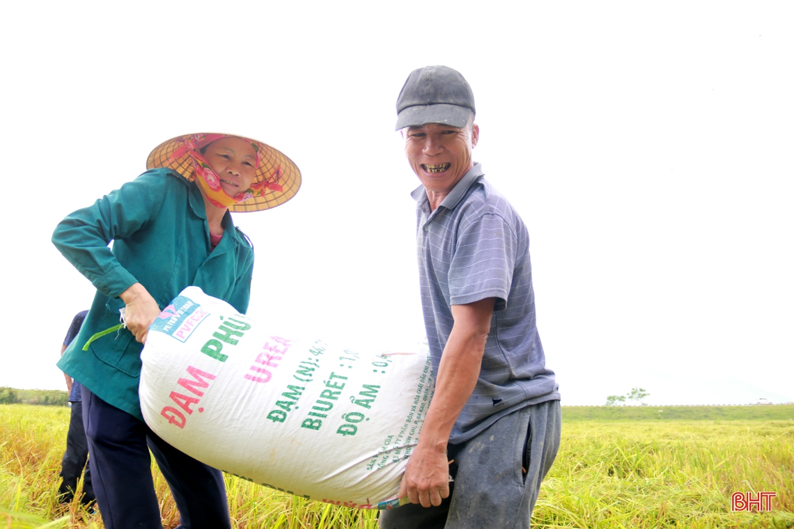 Vụ hè thu 2020 - “khúc hoan ca” trên đồng ruộng Hà Tĩnh