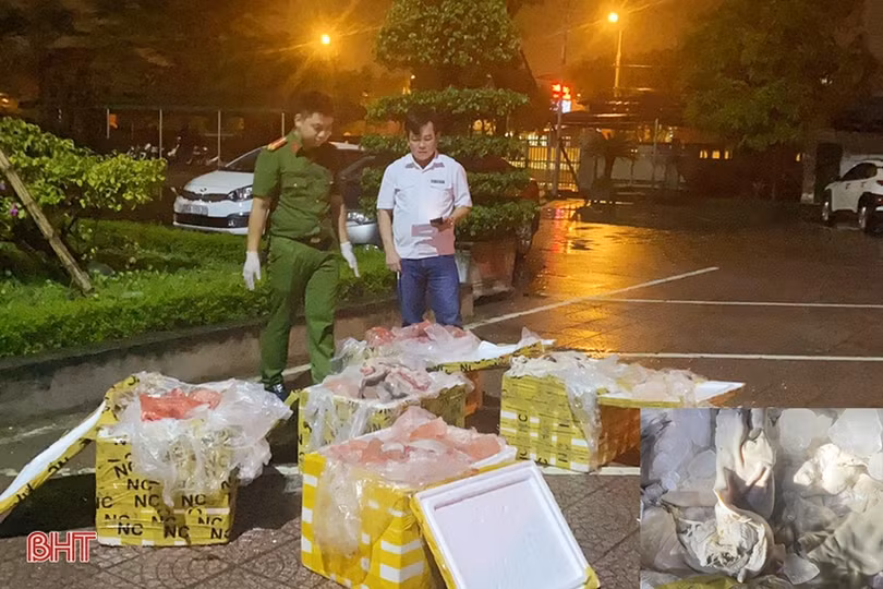 Phát hiện xe khách vận chuyển hơn 430 kg nội tạng động vật không rõ nguồn gốc qua địa bàn Hà Tĩnh