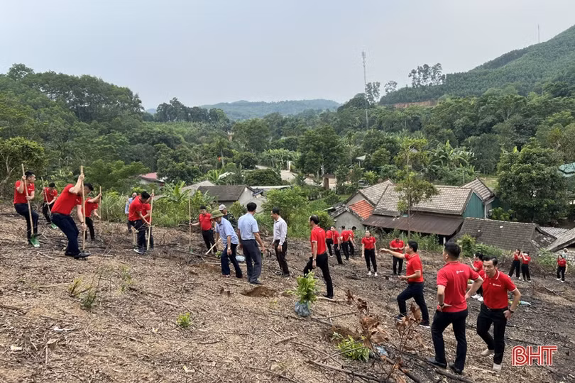 SeABank trao tặng gần 154.000 cây keo giống cho huyện Hương Sơn