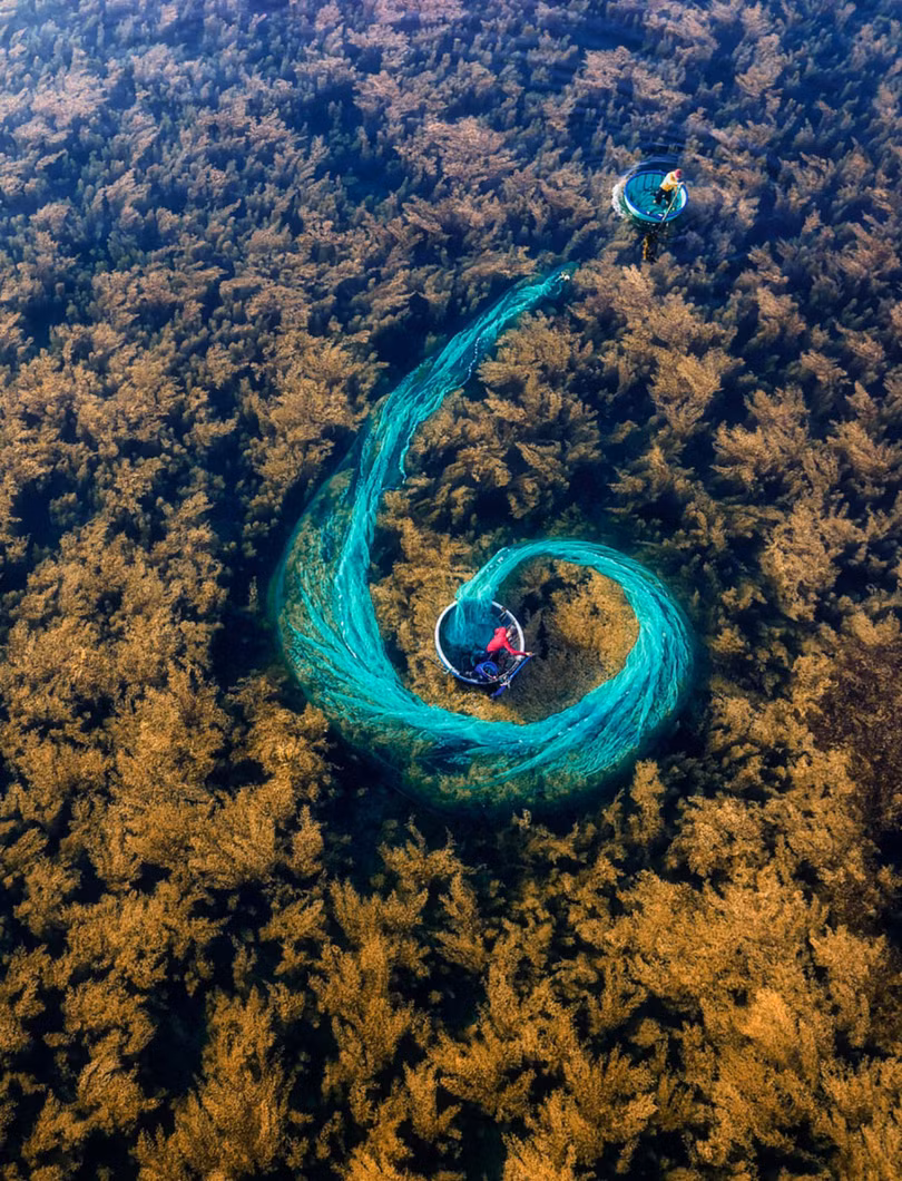 7 ảnh “Việt Nam từ trên cao” đoạt giải quốc tế