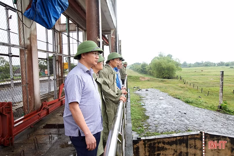 Tích cực tiêu úng, tranh thủ thu hoạch lúa hè thu khi thời tiết thuận lợi để đảm bảo năng suất