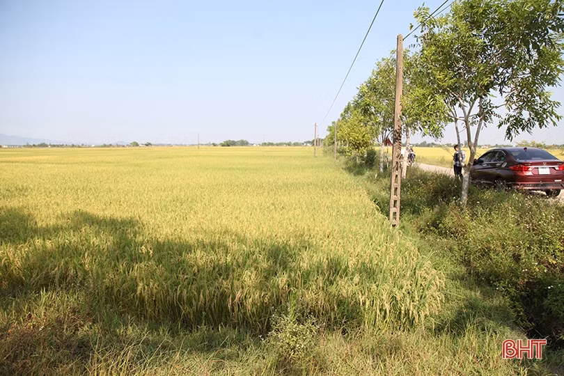 Nỗ lực đẩy nhanh xây dựng khu tái định cư dự án cao tốc Bắc - Nam qua Hà Tĩnh