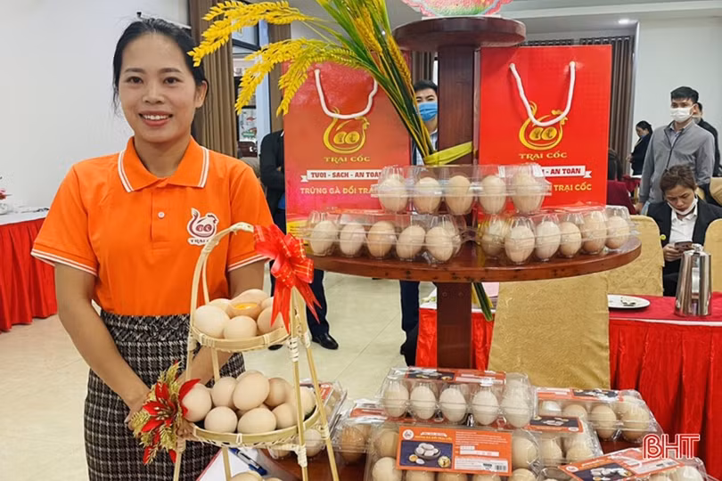Nỗ lực phát triển thương hiệu trứng gà đồi Trại Cốc