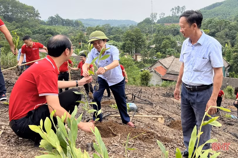 SeABank trao tặng gần 154.000 cây keo giống cho huyện Hương Sơn