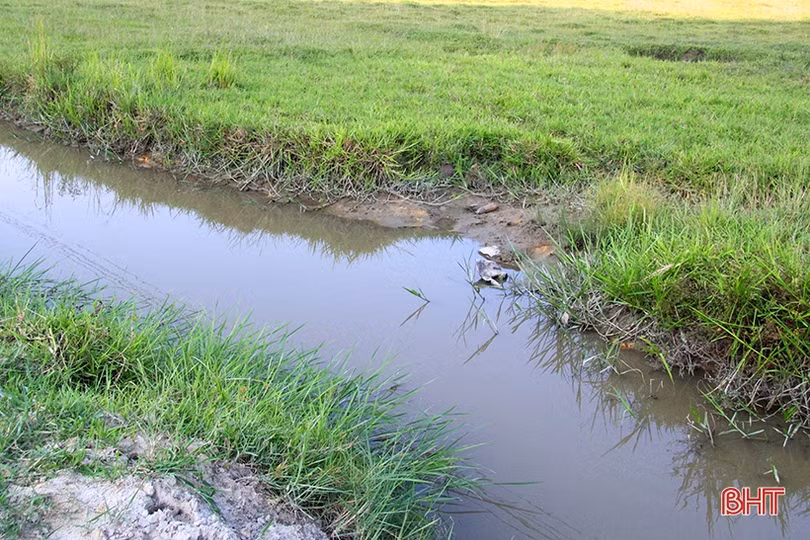 Mưa to lại lo... “chạy lụt”!