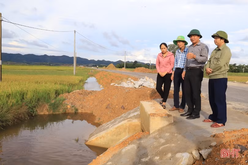 Hương Sơn phấn đấu đến 15/9 hoàn tất thu hoạch lúa hè thu