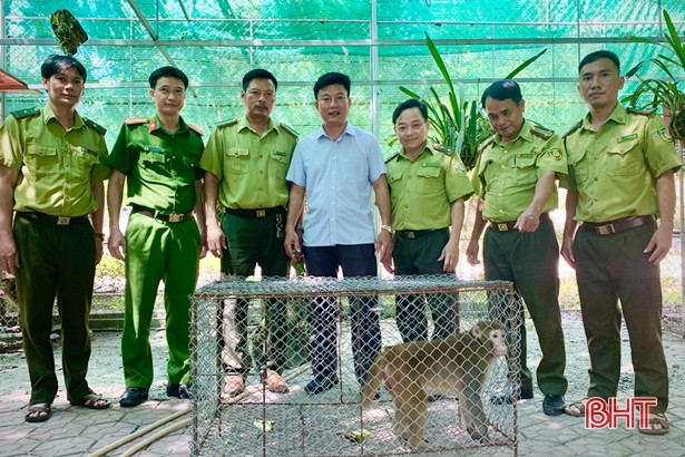 Nỗ lực bảo vệ động vật hoang dã ở Hà Tĩnh