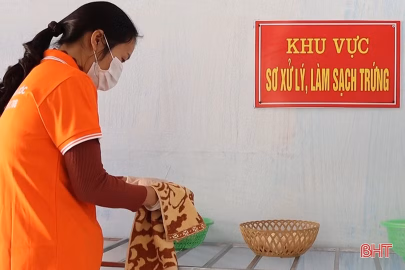 Nỗ lực phát triển thương hiệu trứng gà đồi Trại Cốc