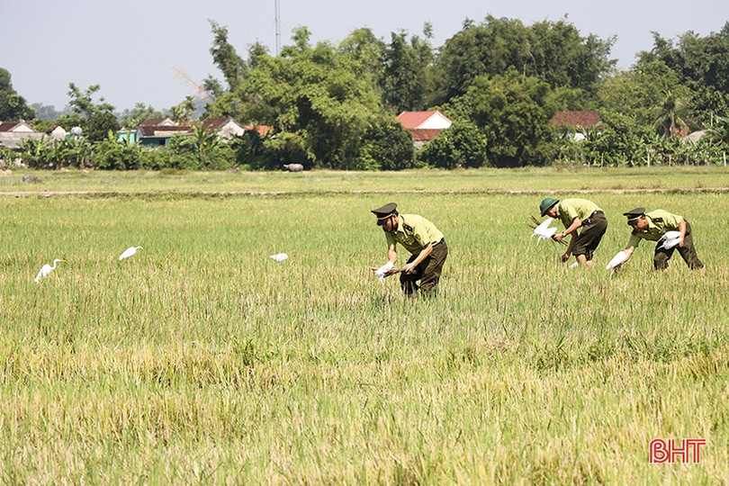Đức Thọ tiêu hủy hàng ngàn dụng cụ bẫy chim hoang dã