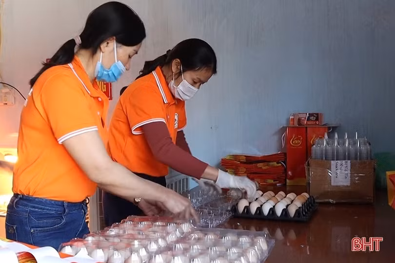 Nỗ lực phát triển thương hiệu trứng gà đồi Trại Cốc