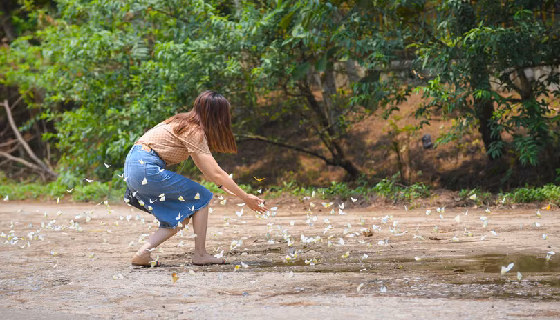 Ba công viên Việt vào top hàng đầu châu Á