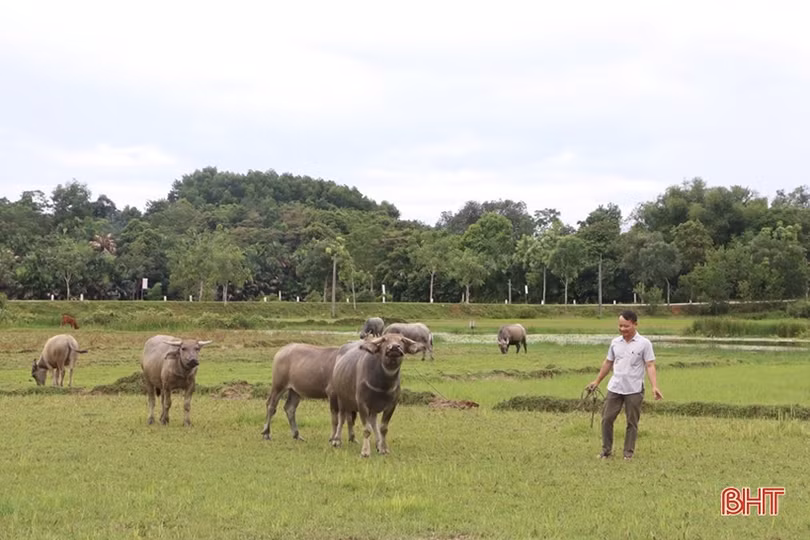 Cán bộ, đảng viên gương mẫu đi đầu, xã miền núi Hà Tĩnh khởi sắc