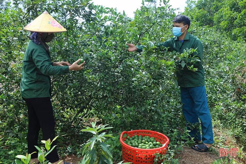 Cán bộ, đảng viên gương mẫu đi đầu, xã miền núi Hà Tĩnh khởi sắc