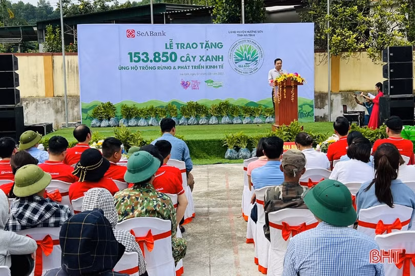 SeABank trao tặng gần 154.000 cây keo giống cho huyện Hương Sơn