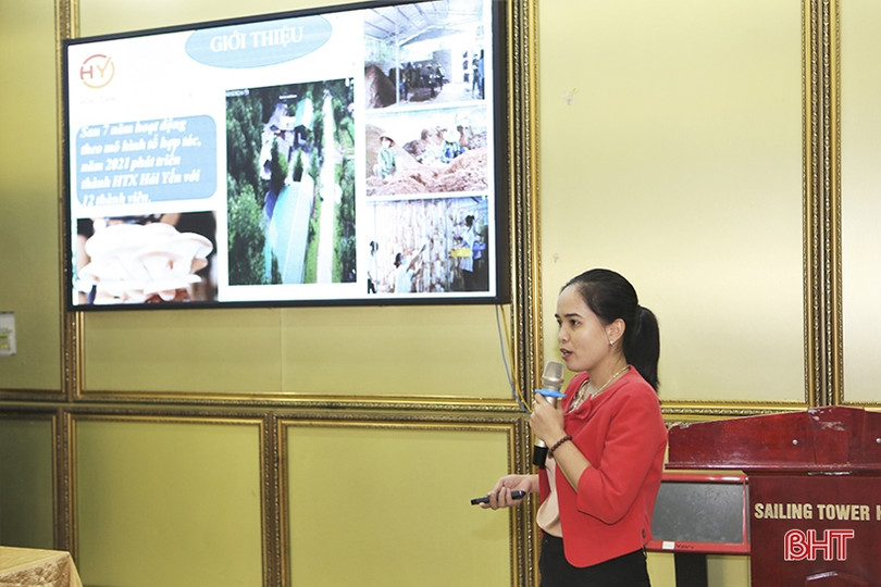 Giúp hội viên phụ nữ Hà Tĩnh hoàn thiện ý tưởng khởi nghiệp