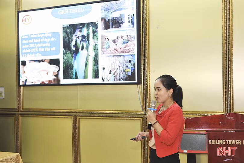 Giúp hội viên phụ nữ Hà Tĩnh hoàn thiện ý tưởng khởi nghiệp