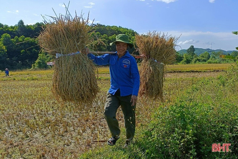 Tuổi trẻ Vũ Quang giúp người dân xã biên giới thu hoạch lúa “chạy” mưa
