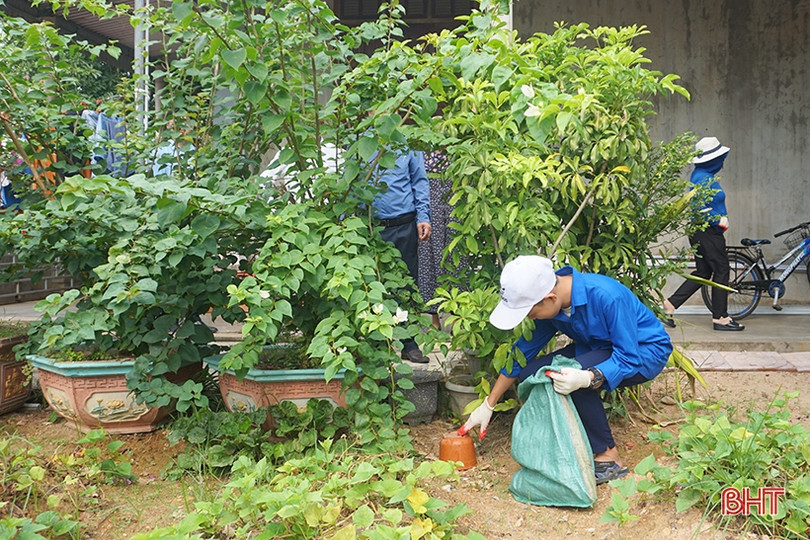 Ra quân diệt bọ gậy tại “điểm nóng” sốt xuất huyết ở thị xã Kỳ Anh